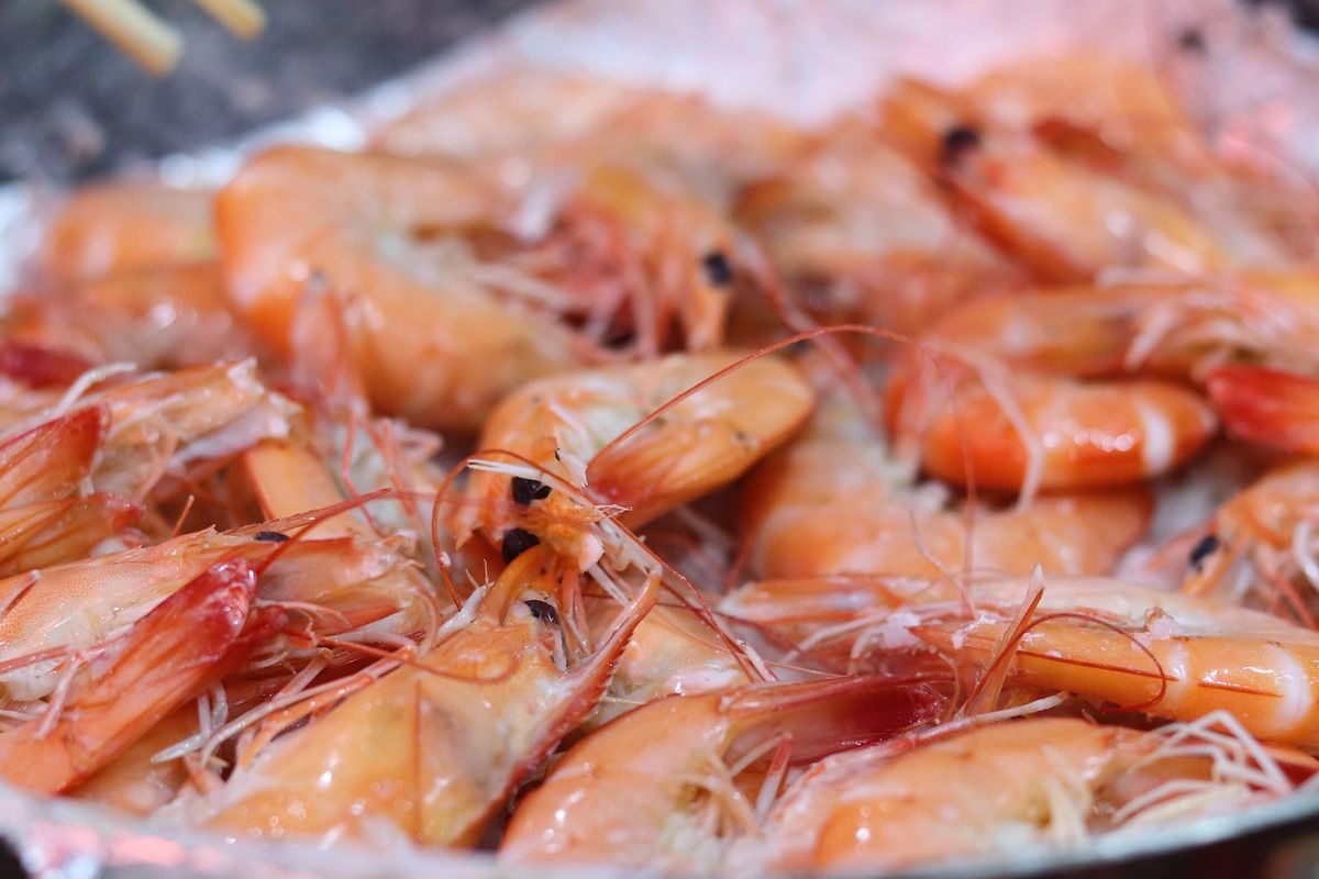 https://trenzviral.com/empat-kontainer-udang-indonesia-ditarik-as-ketika-laut-menyimpan-cerita-tentang-radioaktif