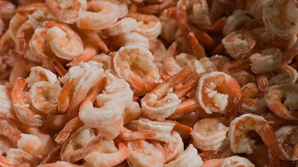 https://trenzviral.com/empat-kontainer-udang-indonesia-ditarik-as-ketika-laut-menyimpan-cerita-tentang-radioaktif